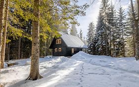 Cosy Lodge Pokljuka