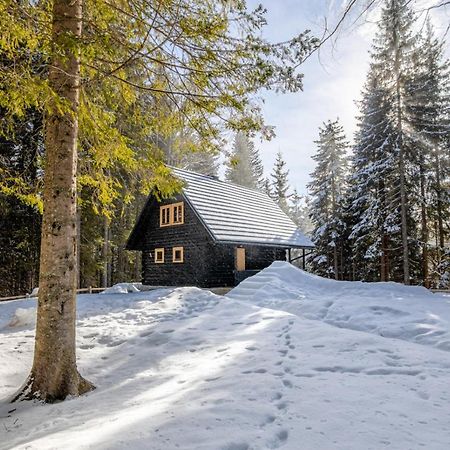 Cosy Lodge Pokljuka Goreljek Extérieur photo