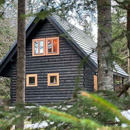 Cosy Lodge Pokljuka Goreljek Extérieur photo