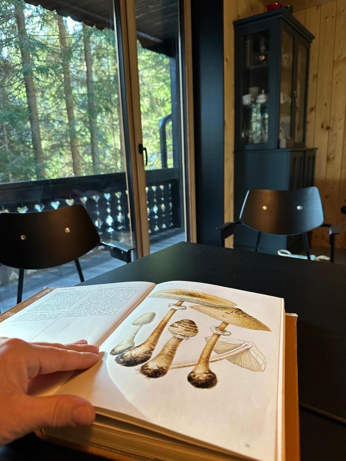 Cosy Lodge Pokljuka Goreljek Extérieur photo