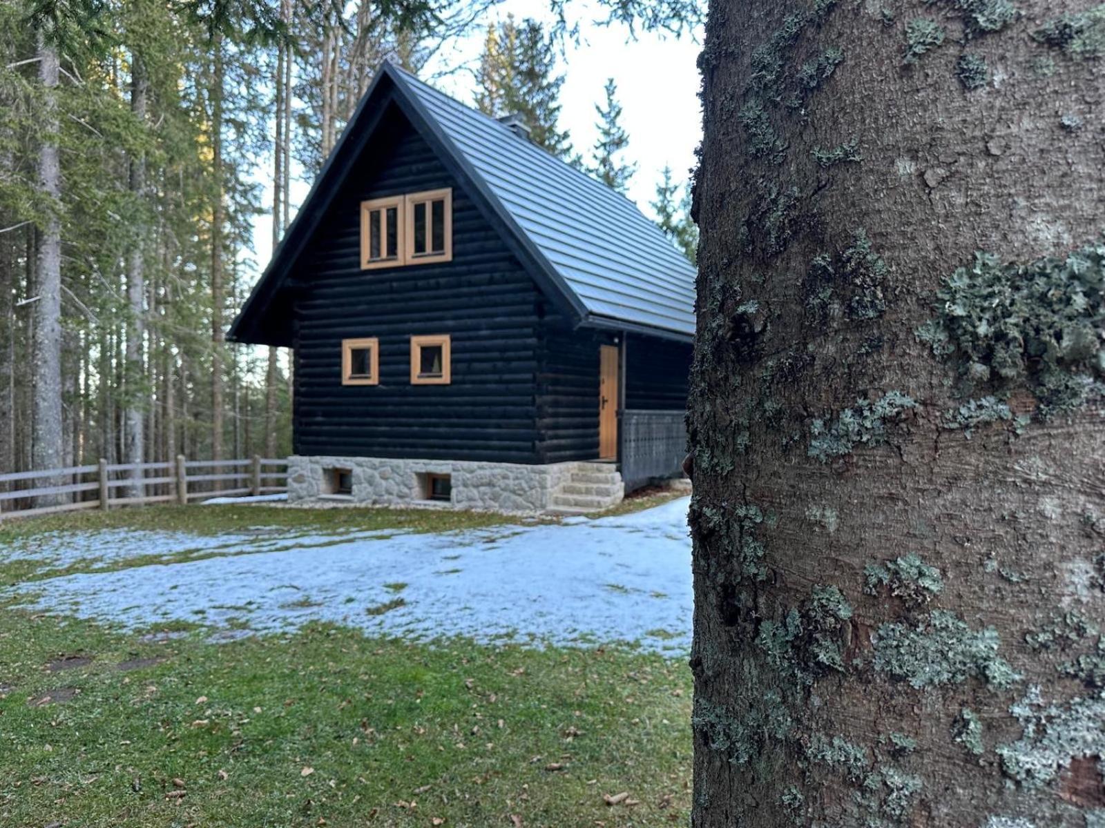 Cosy Lodge Pokljuka Goreljek Extérieur photo